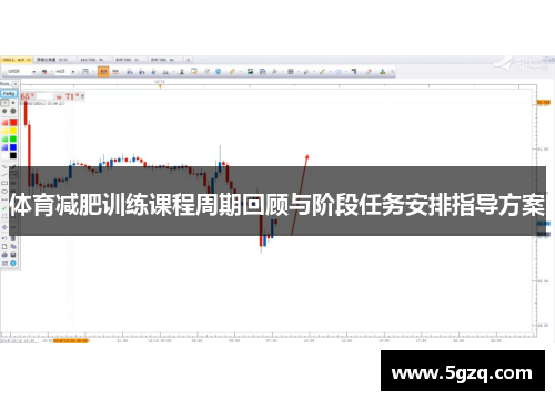 体育减肥训练课程周期回顾与阶段任务安排指导方案